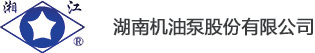 湖南机油泵